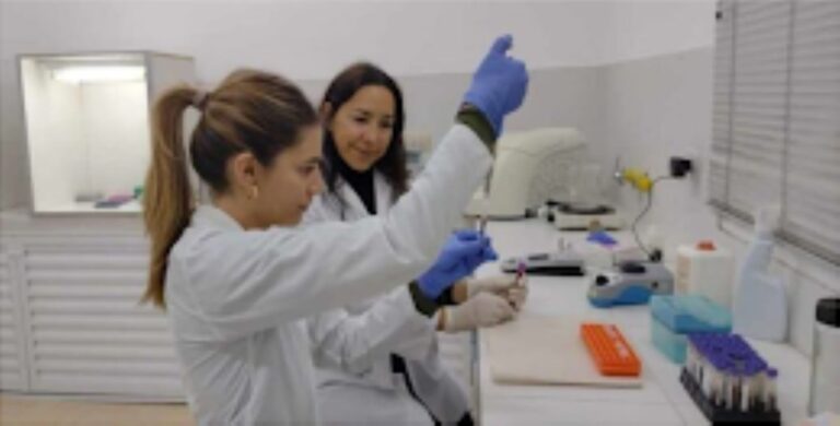 Estudiante universitaria de veterinaria en laboratorio, trabajando con muestras para detectar enfermedades en caballos mediante técnicas moleculares.