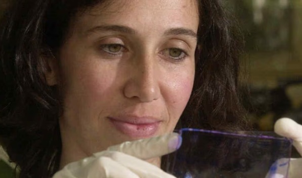 Mariana Maccioni: la investigadora argentina especializada en Inmunología