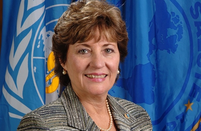 Mirta Roses Periago: Argentina en la Organización Panamericana de la Salud
